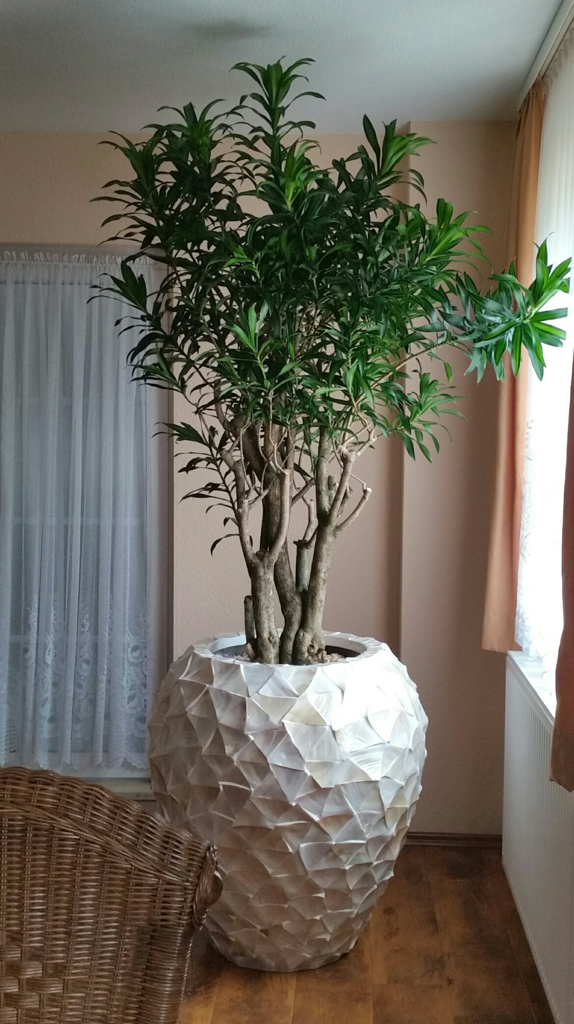 2017-09-26 15.32.59_1506432888720_resized